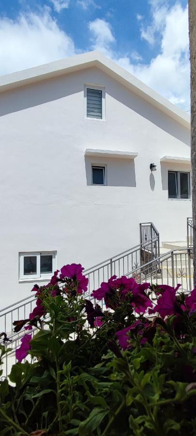 Dika Apartment بار المظهر الخارجي الصورة